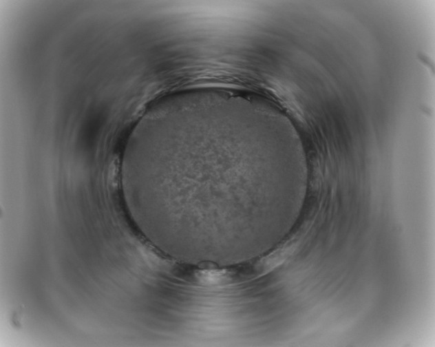 X0000096470273200801241435