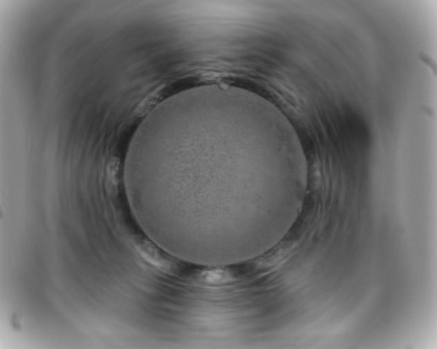 X0000096470275200801241435