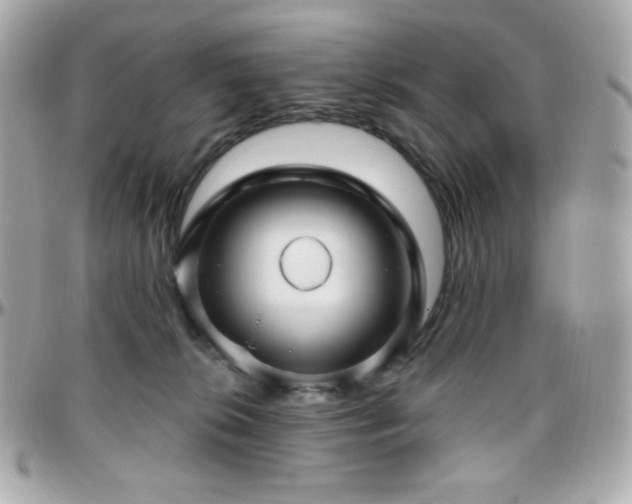 X0000096470276200801241435