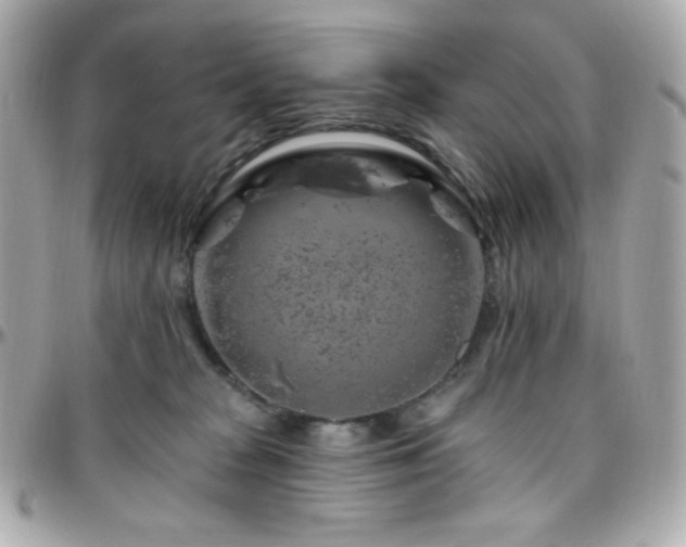 X0000096470277200801241435