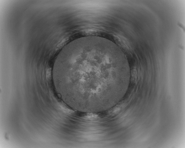 X0000096470278200801241435