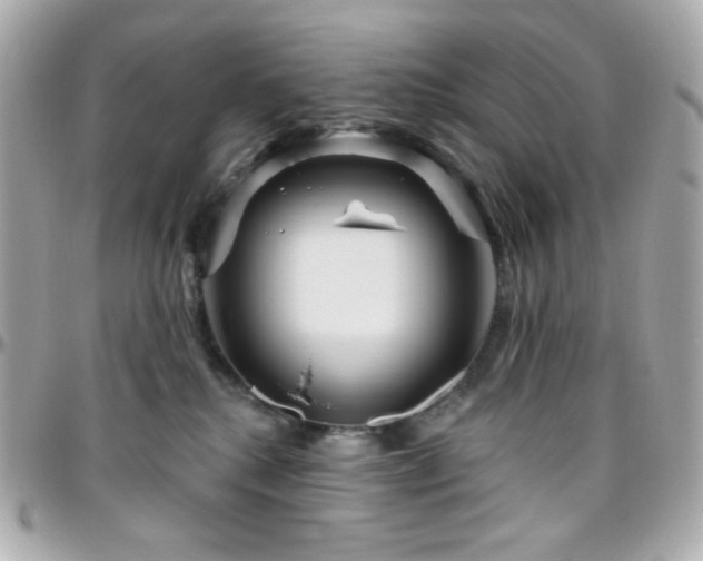 X0000096470280200801241435