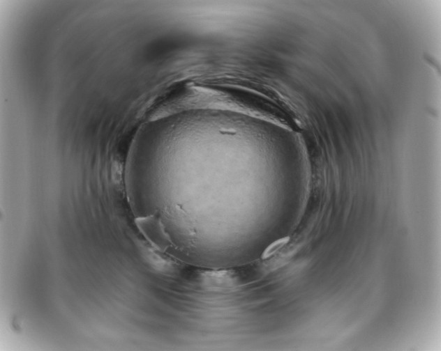 X0000096470281200801241435