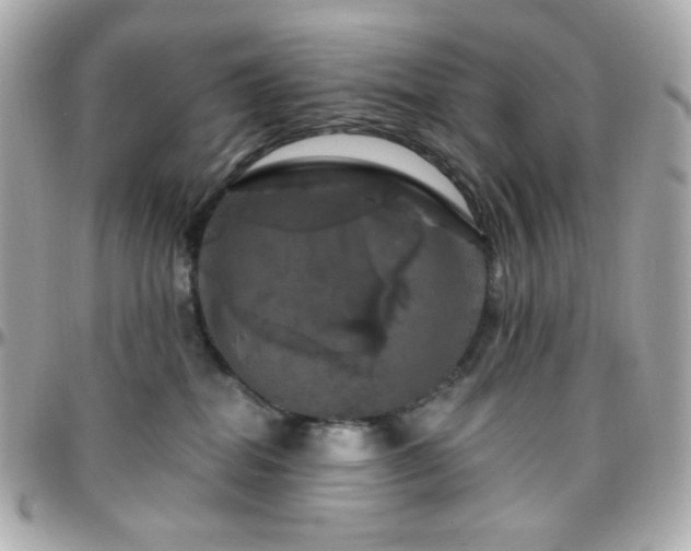 X0000096470282200801241435