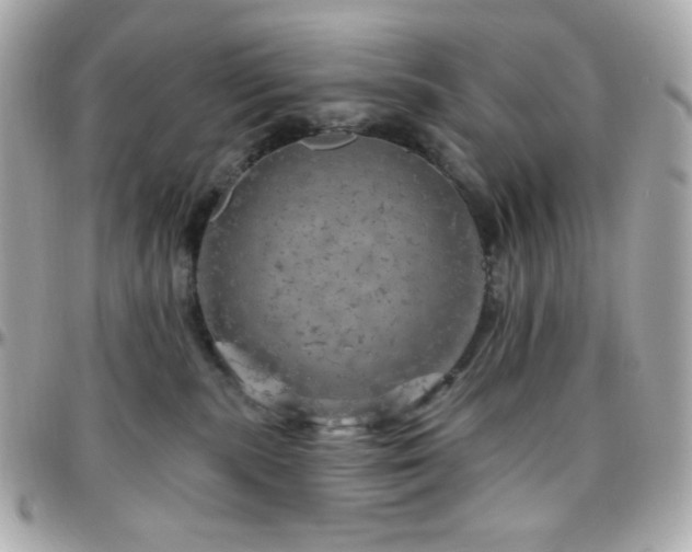 X0000096470283200801241435