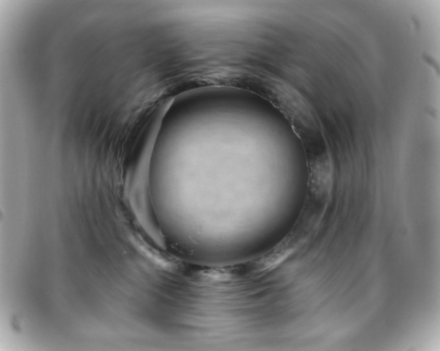 X0000096470284200801241435