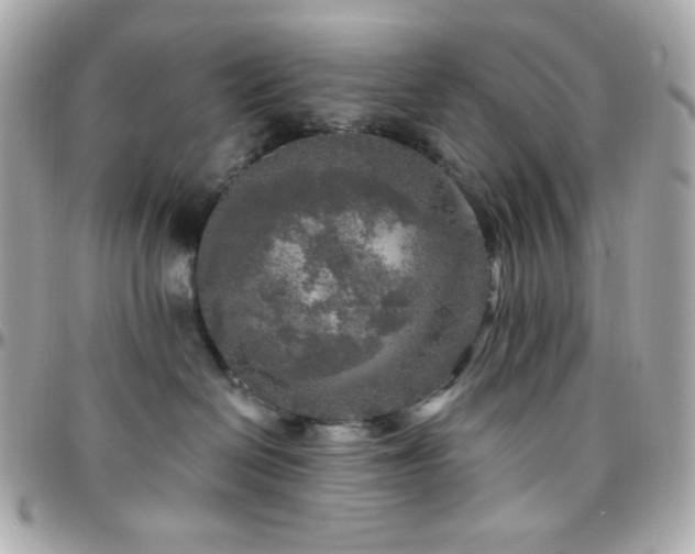 X0000096470286200801241435