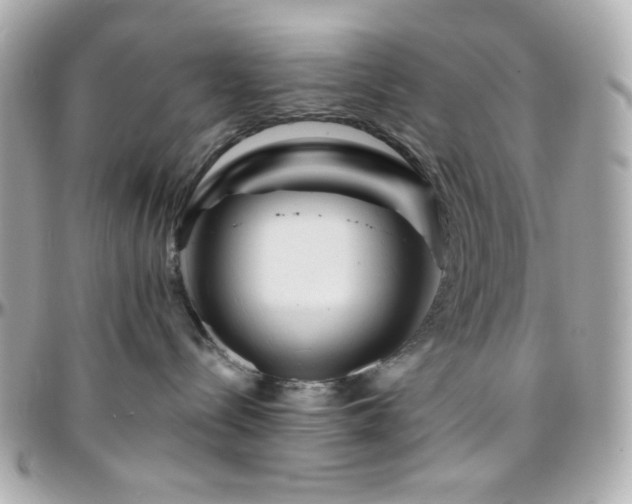 X0000096470288200801241435