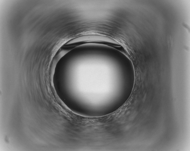 X0000096470289200801241435