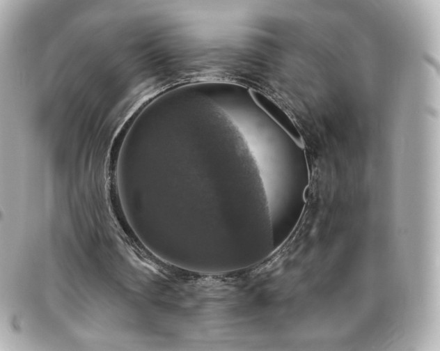 X0000096470290200801241435