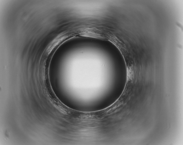 X0000096470291200801241435