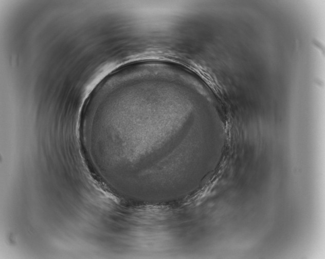 X0000096470292200801241435