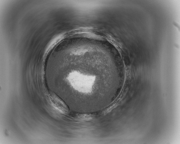 X0000096470293200801241435