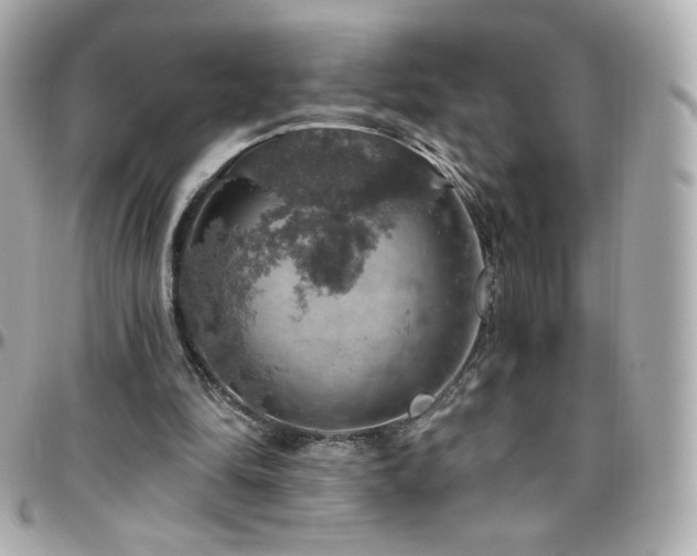 X0000096470294200801241435