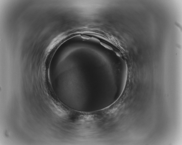 X0000096470295200801241435