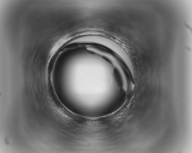 X0000096470296200801241435