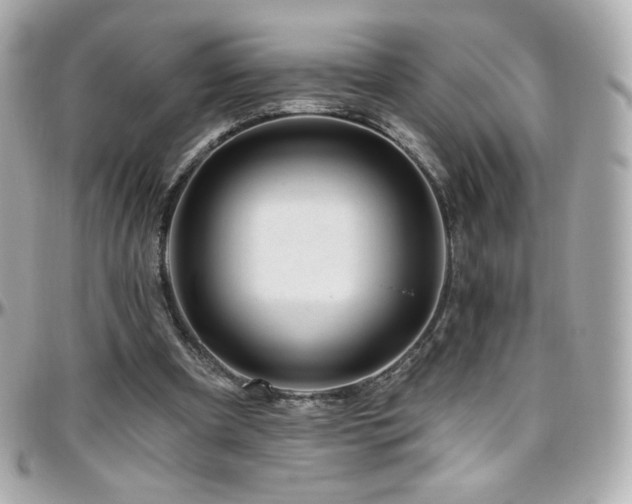 X0000096470297200801241435