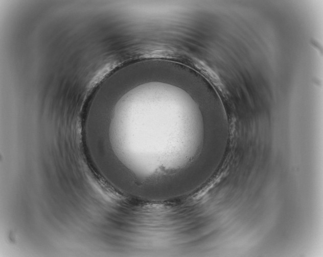 X0000096470298200801241435