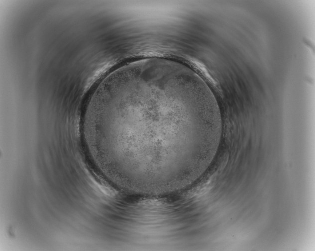 X0000096470299200801241435