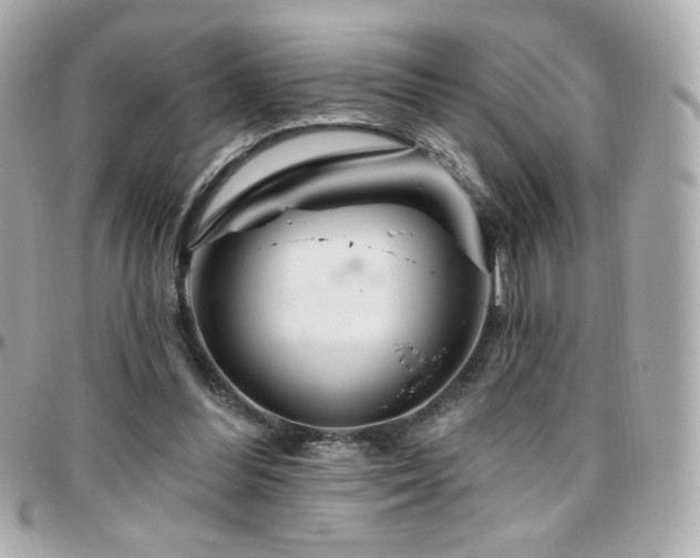 X0000096470300200801241435