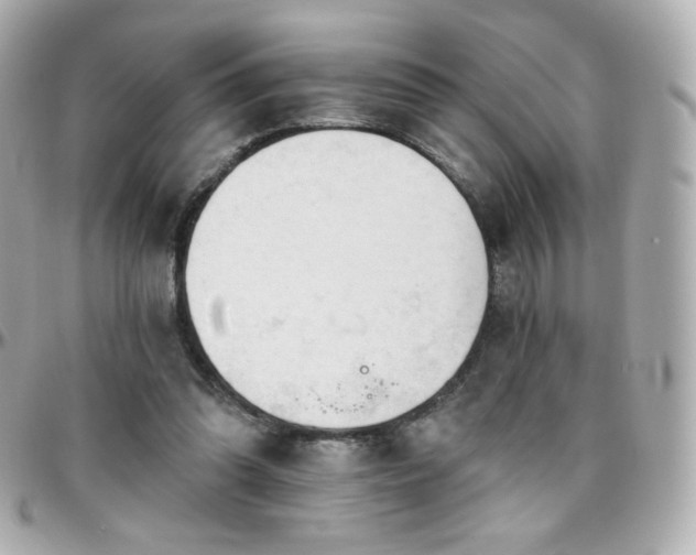 X0000096470302200801241435