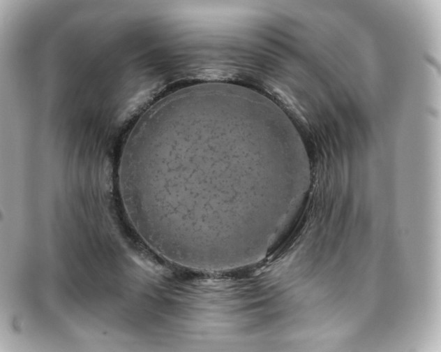 X0000096470303200801241435