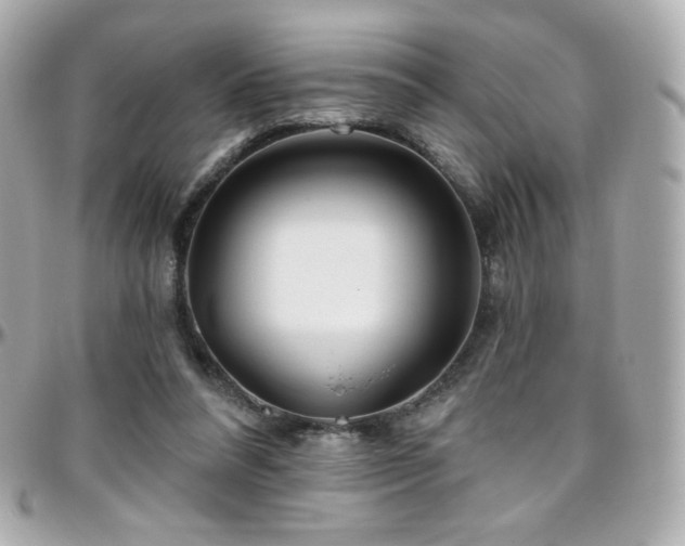 X0000096470304200801241435