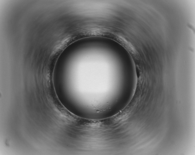 X0000096470306200801241435