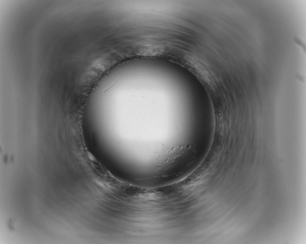 X0000096470307200801241435