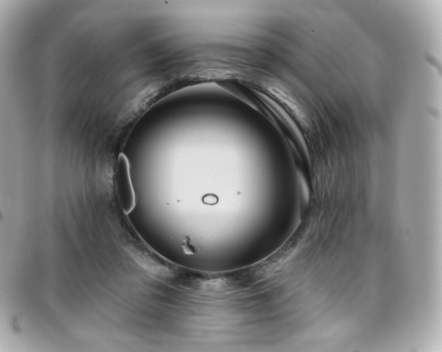 X0000096470309200801241435