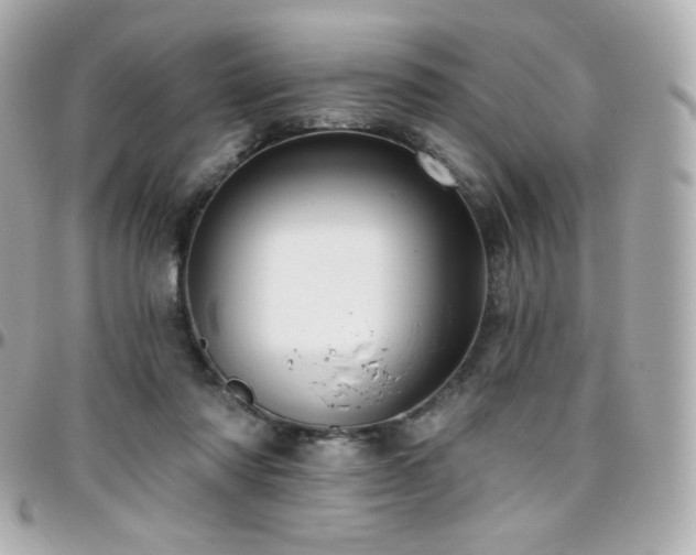 X0000096470310200801241435