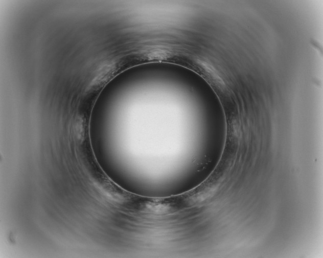 X0000096470311200801241434