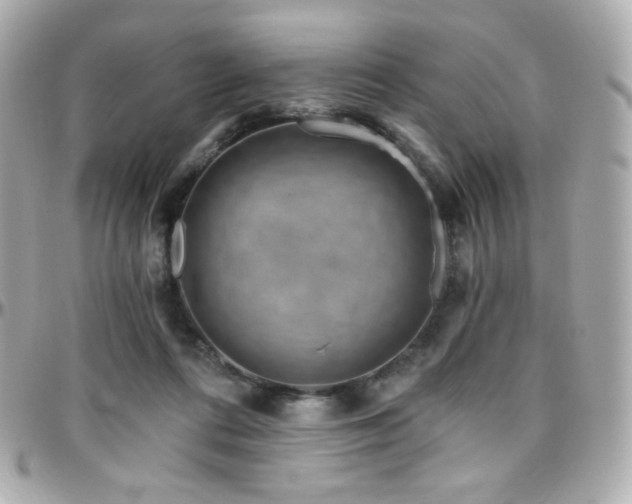 X0000096470312200801241434