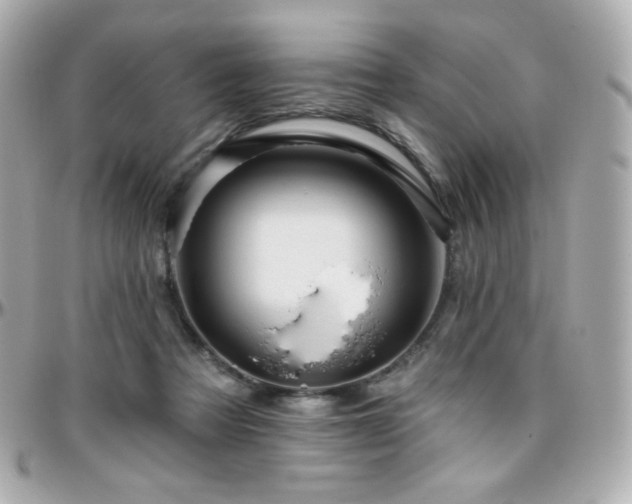 X0000096470313200801241434