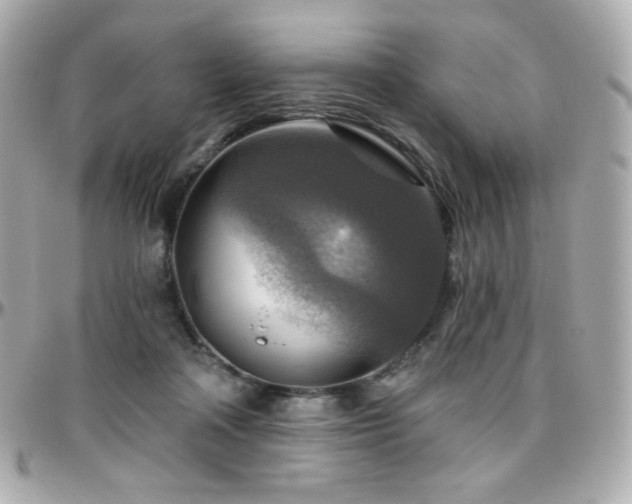 X0000096470314200801241434