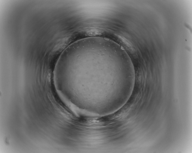 X0000096470315200801241434