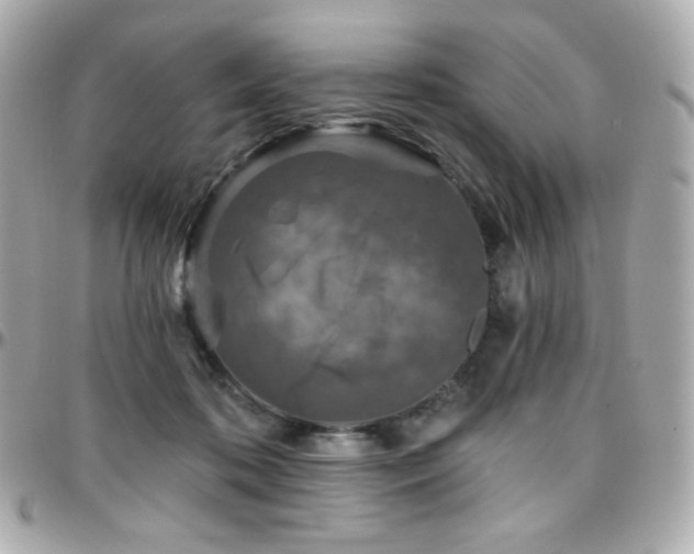 X0000096470316200801241434