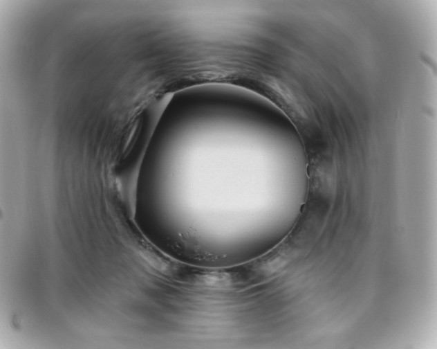 X0000096470317200801241434