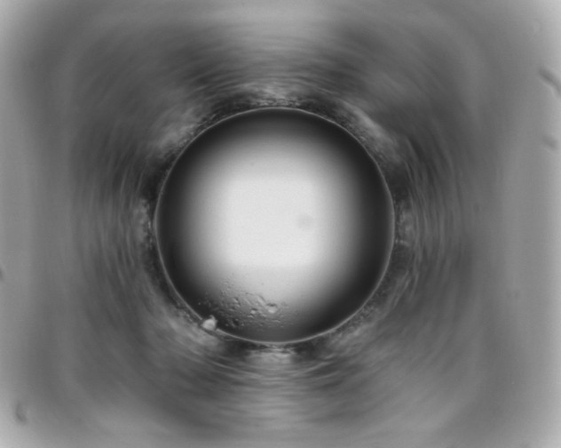 X0000096470318200801241434