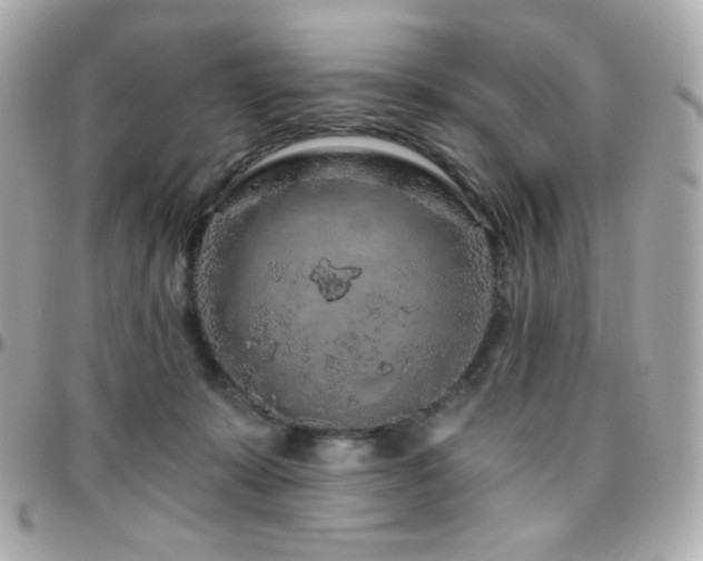 X0000096470319200801241434