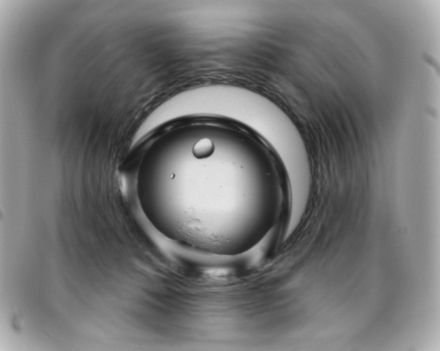 X0000096470320200801241434