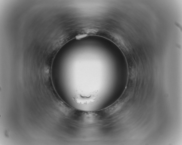 X0000096470321200801241434