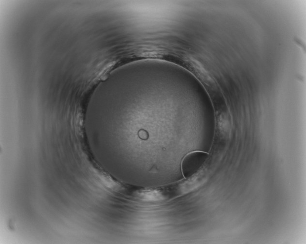 X0000096470322200801241434