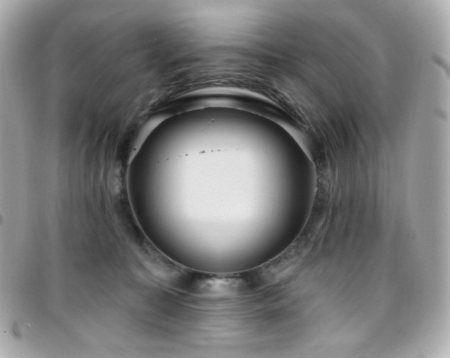 X0000096470323200801241434