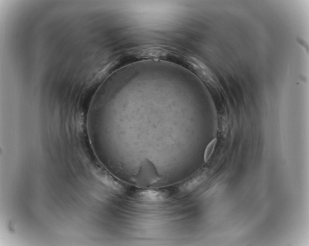 X0000096470326200801241434