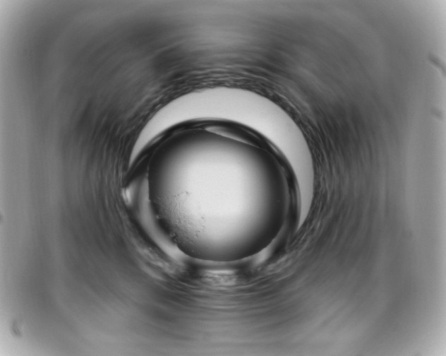 X0000096470328200801241434