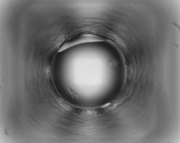 X0000096470329200801241434