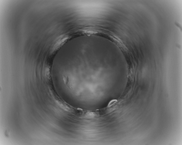 X0000096470330200801241434