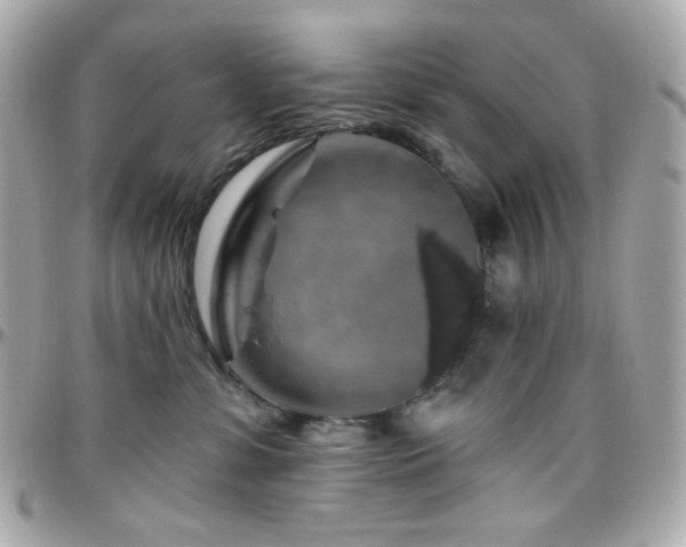 X0000096470331200801241434