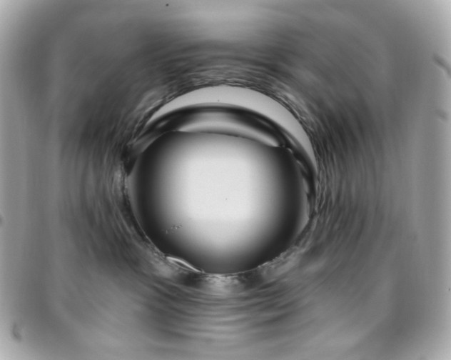 X0000096470333200801241434